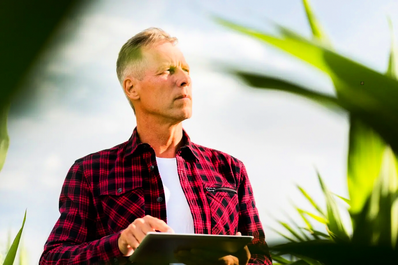 Blueprint for transparent investment model architecture